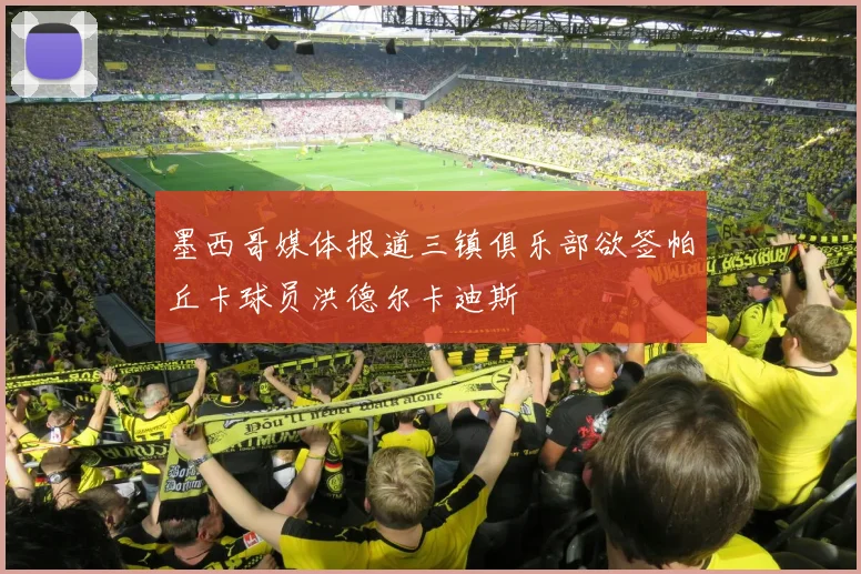 墨西哥媒体报道三镇俱乐部欲签帕丘卡球员洪德尔卡迪斯